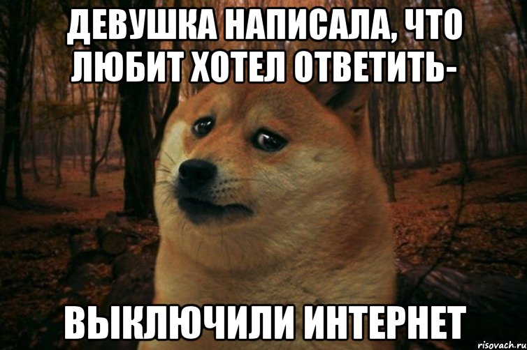 Девушка написала, что любит Хотел ответить- выключили интернет, Мем SAD DOGE