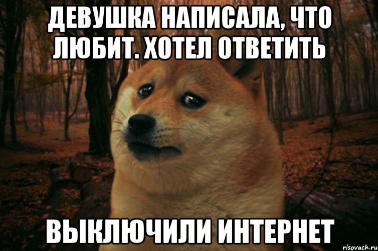 Девушка написала, что любит. Хотел ответить выключили интернет, Мем SAD DOGE