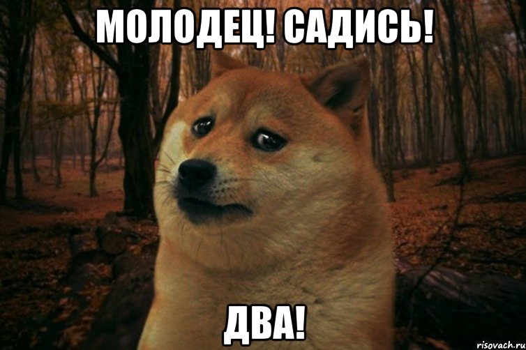 молодец! садись! два!, Мем SAD DOGE