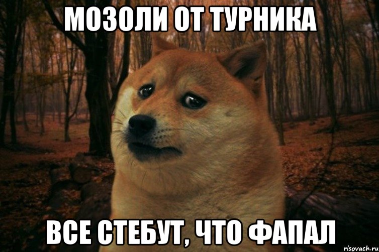 мозоли от турника все стебут, что фапал, Мем SAD DOGE