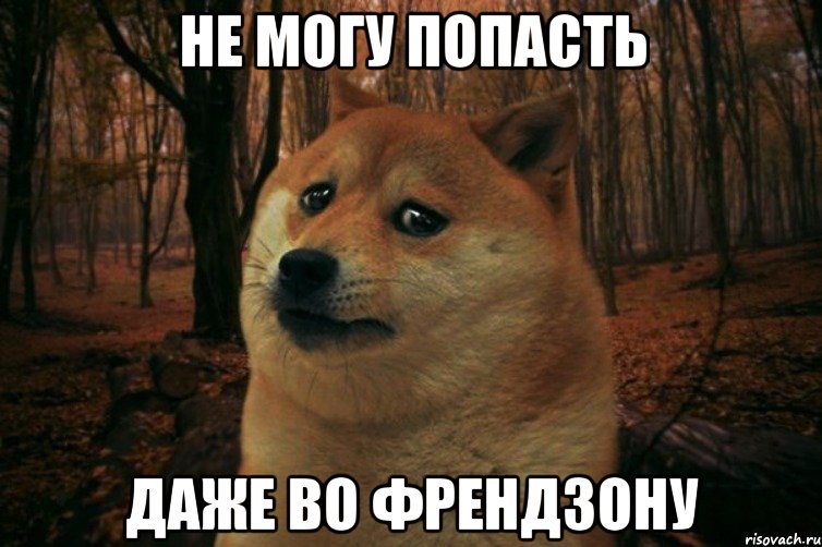 не могу попасть даже во френдзону, Мем SAD DOGE