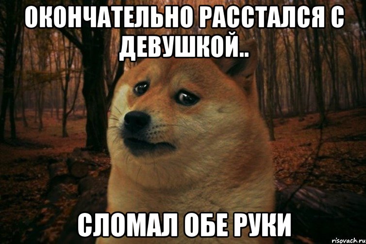 окончательно расстался с девушкой.. сломал обе руки, Мем SAD DOGE