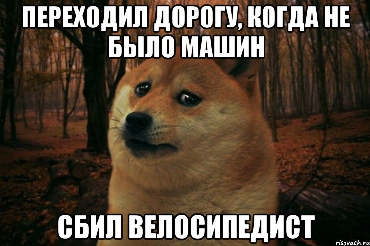 переходил дорогу, когда не было машин сбил велосипедист, Мем SAD DOGE