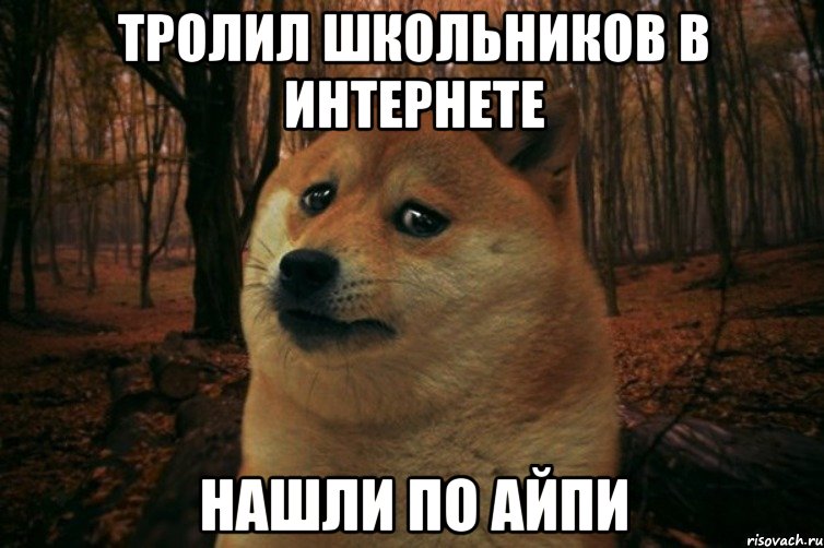 тролил школьников в интернете нашли по айпи, Мем SAD DOGE