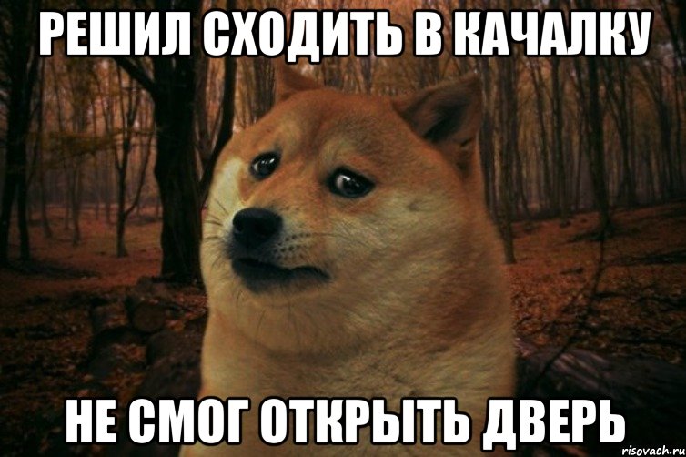 решил сходить в качалку не смог открыть дверь, Мем SAD DOGE