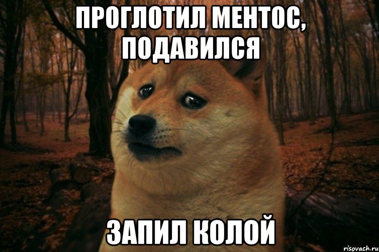 проглотил ментос, подавился запил колой, Мем SAD DOGE