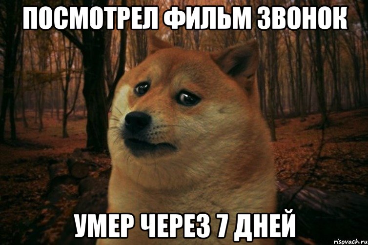 посмотрел фильм звонок умер через 7 дней, Мем SAD DOGE