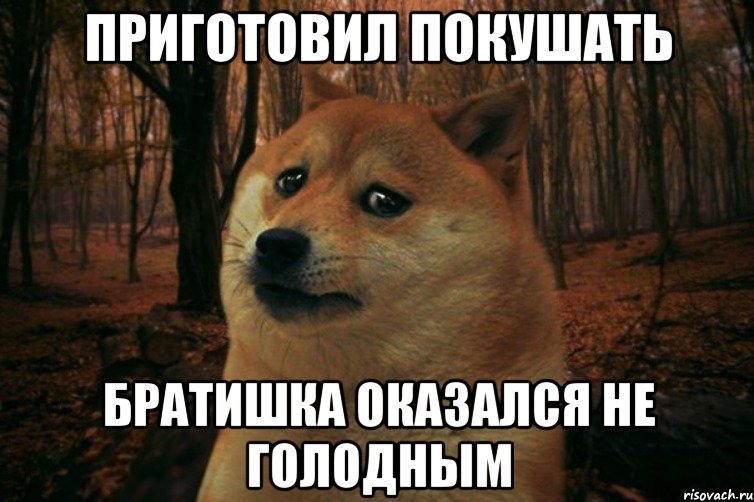 приготовил покушать братишка оказался не голодным, Мем SAD DOGE