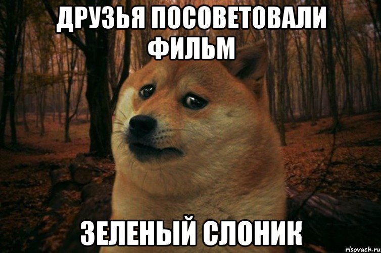 друзья посоветовали фильм зеленый слоник, Мем SAD DOGE