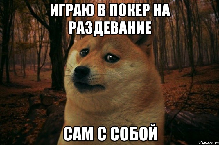 играю в покер на раздевание сам с собой, Мем SAD DOGE