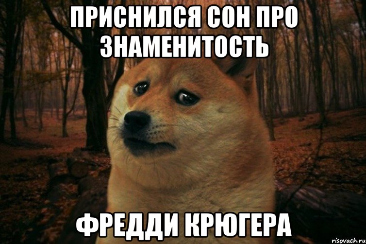 приснился сон про знаменитость фредди крюгера, Мем SAD DOGE