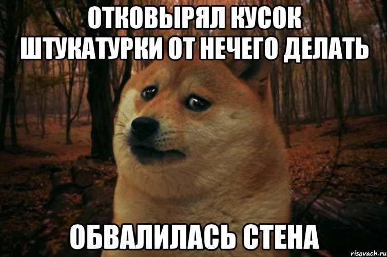 отковырял кусок штукатурки от нечего делать обвалилась стена, Мем SAD DOGE