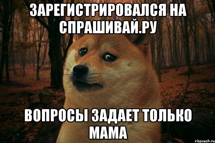 зарегистрировался на спрашивай.ру вопросы задает только мама, Мем SAD DOGE