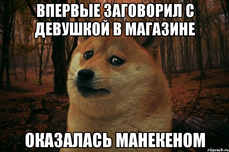 впервые заговорил с девушкой в магазине оказалась манекеном, Мем SAD DOGE