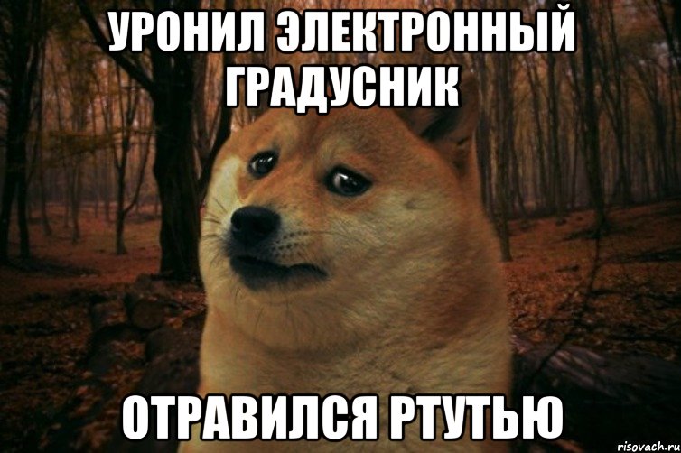 уронил электронный градусник отравился ртутью, Мем SAD DOGE