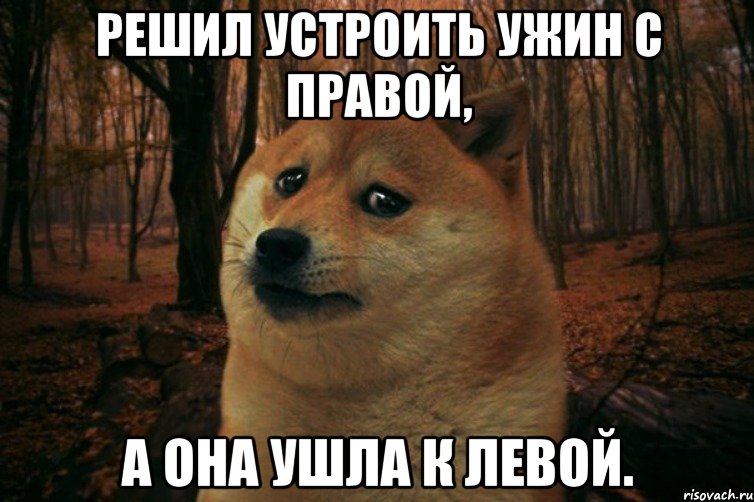 Решил устроить ужин с правой, а она ушла к левой., Мем SAD DOGE