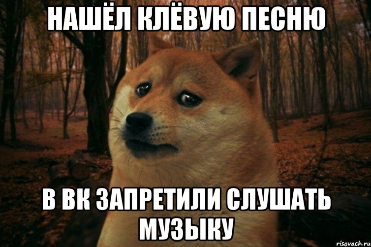 Нашёл клёвую песню В вк запретили слушать музыку, Мем SAD DOGE