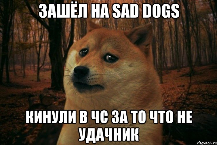 Зашёл на SAD DOGS Кинули в ЧС за то что не удачник, Мем SAD DOGE