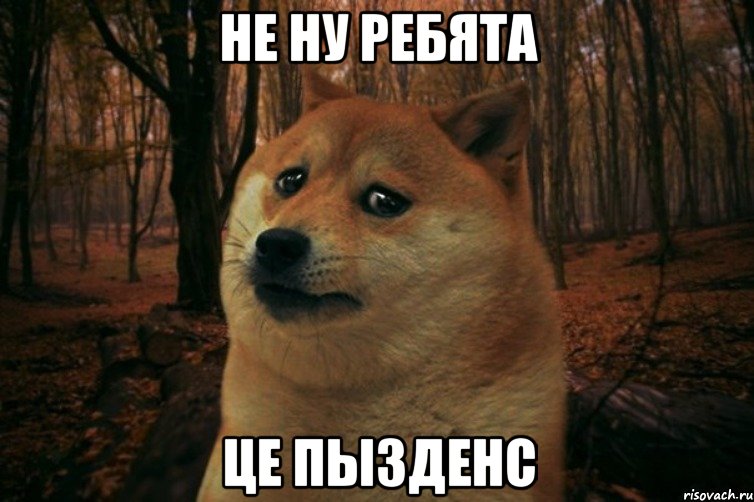 Не ну ребята Це пызденс, Мем SAD DOGE