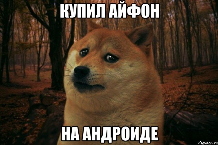 купил айфон на андроиде, Мем SAD DOGE