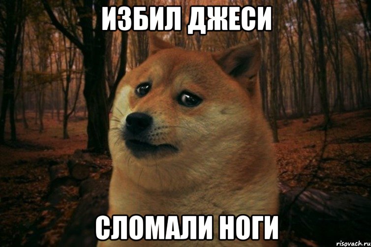 избил джеси сломали ноги, Мем SAD DOGE