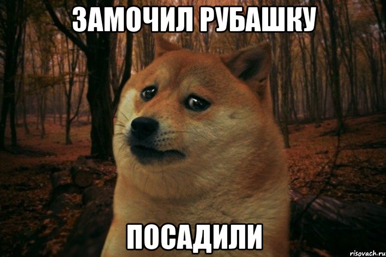 замочил рубашку посадили, Мем SAD DOGE