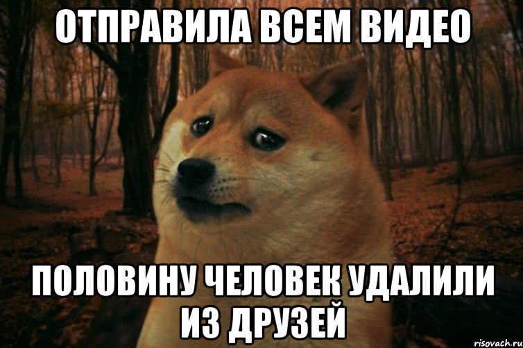 ОТПРАВИЛА ВСЕМ ВИДЕО ПОЛОВИНУ ЧЕЛОВЕК УДАЛИЛИ ИЗ ДРУЗЕЙ, Мем SAD DOGE