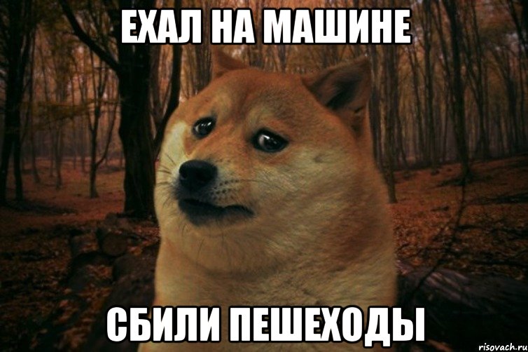 ехал на машине сбили пешеходы, Мем SAD DOGE