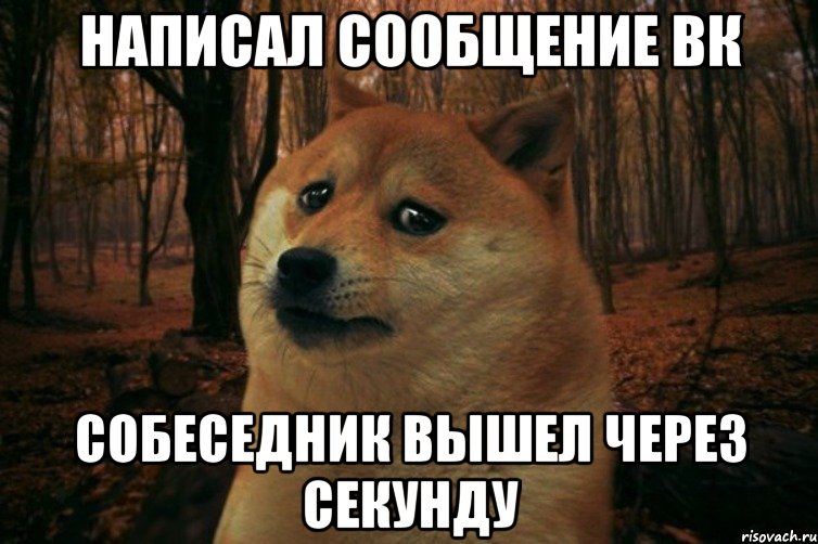 написал сообщение ВК собеседник вышел через секунду, Мем SAD DOGE