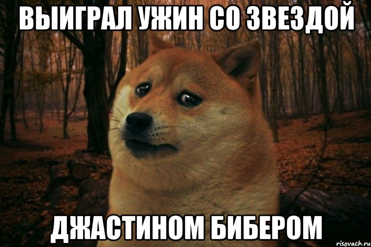 выиграл ужин со звездой джастином бибером, Мем SAD DOGE