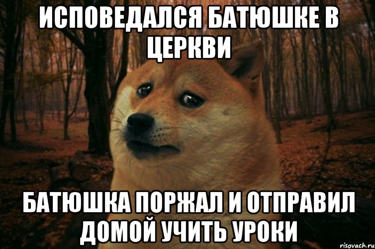 исповедался батюшке в церкви батюшка поржал и отправил домой учить уроки, Мем SAD DOGE