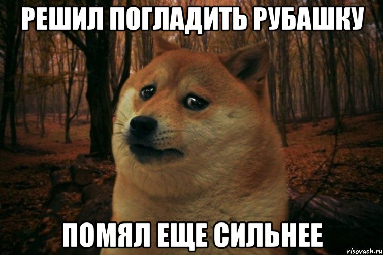 решил погладить рубашку помял еще сильнее, Мем SAD DOGE