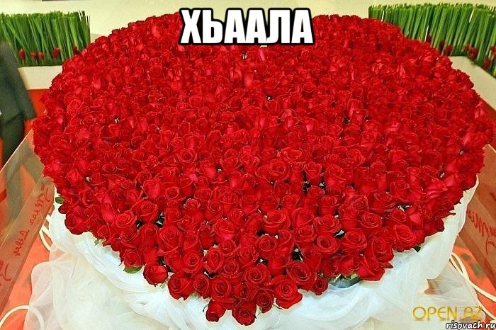 Хьаала 