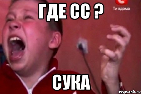 Где сс ? Сука