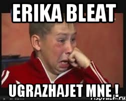 Erika bleat ugrazhajet mne !, Мем  Сашок Фокин