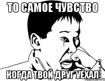 То самое чувство Когда твой друг уехал, Мем сашок