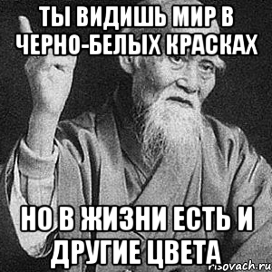 ты видишь мир в черно-белых красках но в жизни есть и другие цвета, Мем Монах-мудрец (сэнсей)