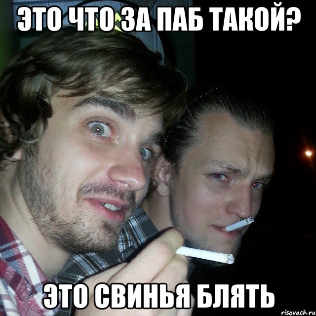 это что за паб такой? это свинья блять