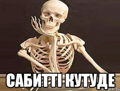 Сабиттi кутуде, Мем скелет