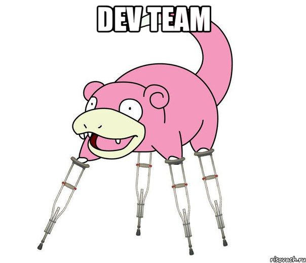 DEV TEAM 