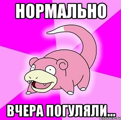 Нормально вчера погуляли..., Мем слоупок