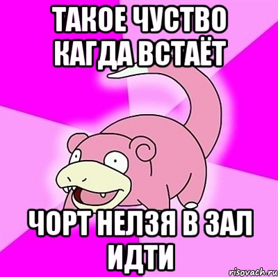 Такое чуство кагда встаёт Чорт нелзя в зал идти, Мем слоупок