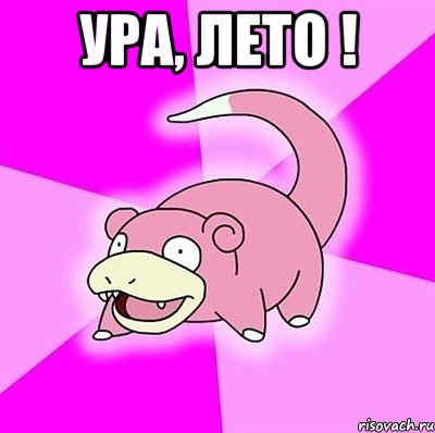 УРА, ЛЕТО ! , Мем слоупок