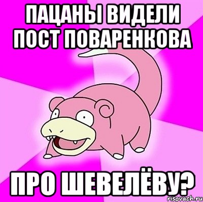 Пацаны видели пост поваренкова про Шевелёву?, Мем слоупок