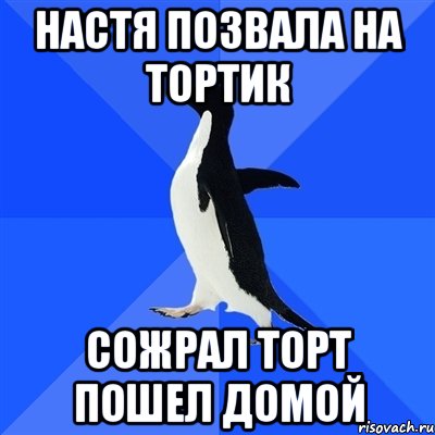 Настя позвала на тортик Сожрал торт пошел домой, Мем  Социально-неуклюжий пингвин