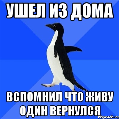 ушел из дома вспомнил что живу один вернулся, Мем  Социально-неуклюжий пингвин