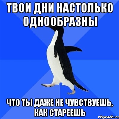 твои дни настолько однообразны что ты даже не чувствуешь, как стареешь, Мем  Социально-неуклюжий пингвин