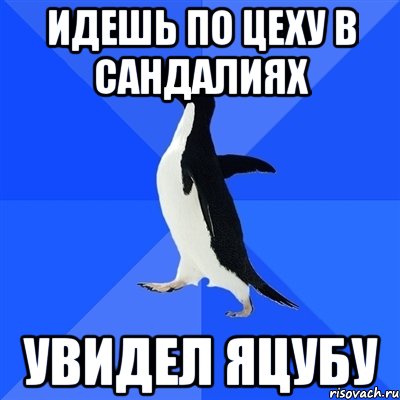 Идешь по цеху в сандалиях увидел Яцубу, Мем  Социально-неуклюжий пингвин