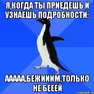 Я,когда ты приедешь и узнаешь подробности: Ааааа,бежииим,только не бееей, Мем  Социально-неуклюжий пингвин