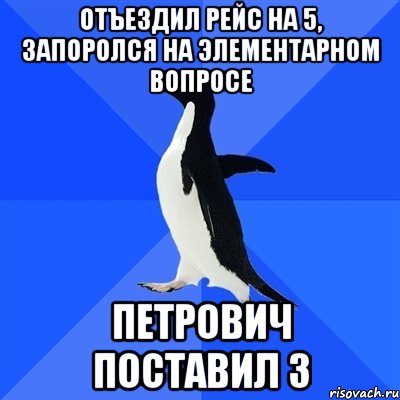 Отъездил рейс на 5, запоролся на элементарном вопросе петрович поставил 3, Мем  Социально-неуклюжий пингвин